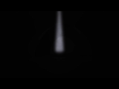 Ein bewaffneter M195T